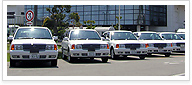 自動車学校卒業（二種免許養成者）